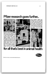 1971 Page 19